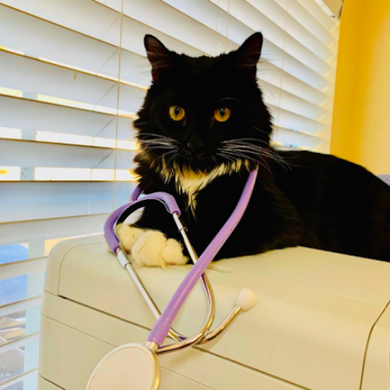 Featured image for Auto-prepared featured image