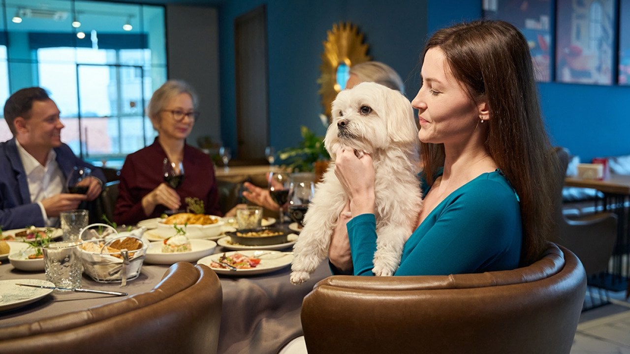 Can your dog eat Christmas dinner? The holiday foods pets can and can’t have