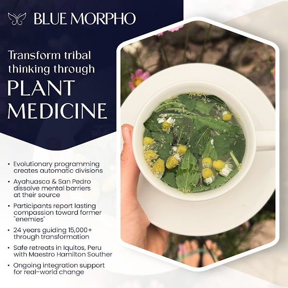 Blue Morpho: Addressing Human Discord Through Plant Medicine Healing
