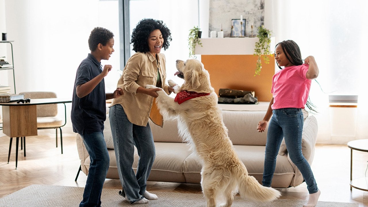 Budgeting for your dog in 2026: What it really costs and where pet parents are choosing to spend more