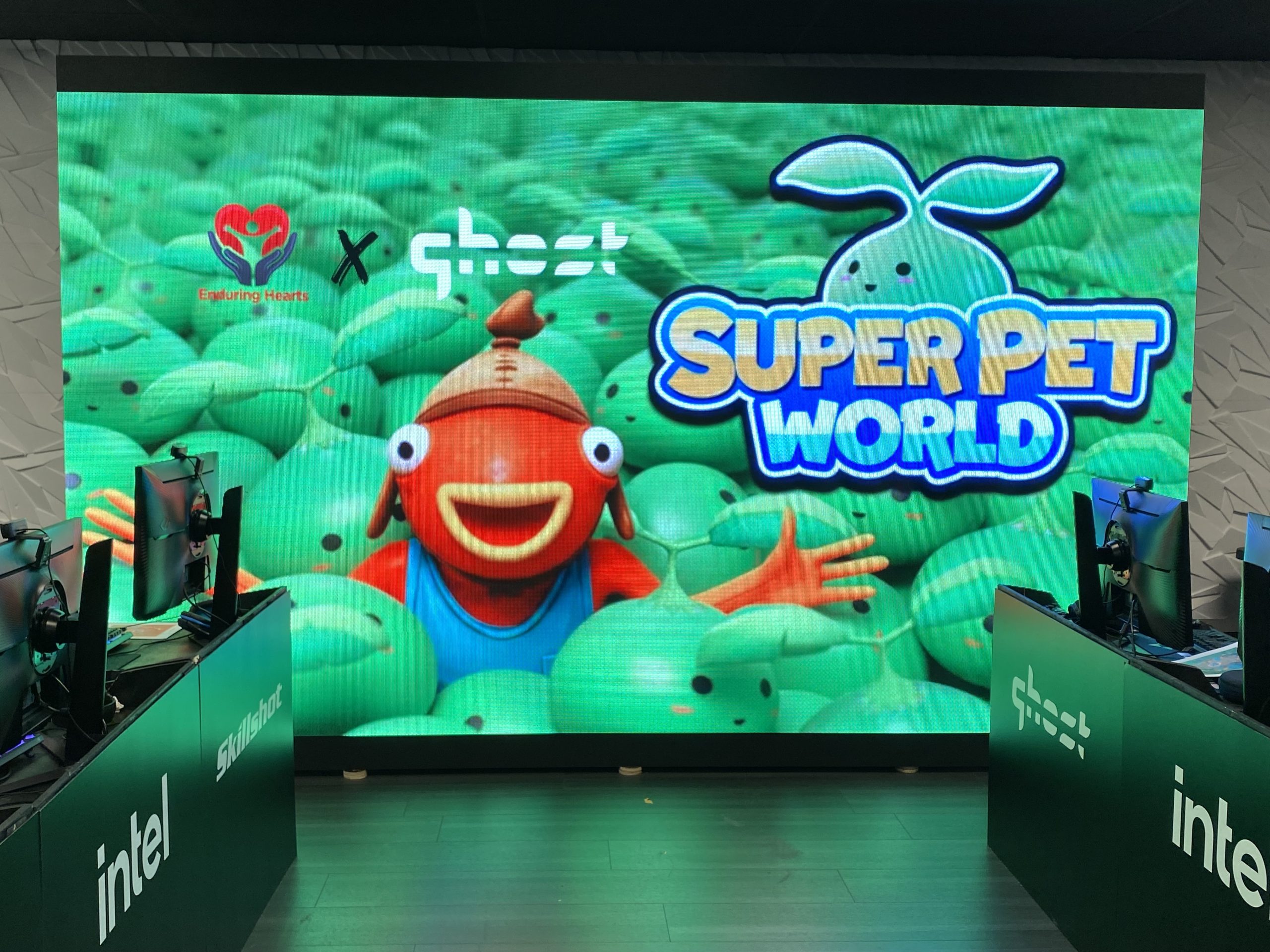 Fortnite’s 'Super Pet World' Launches Heartfelt Limited-Time Quest Supporting Pediatric Heart Transplant Research