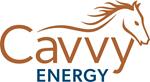 Cavvy Conference Call and Webcast to Discuss Fourth Quarter and Year-End 2025 Results